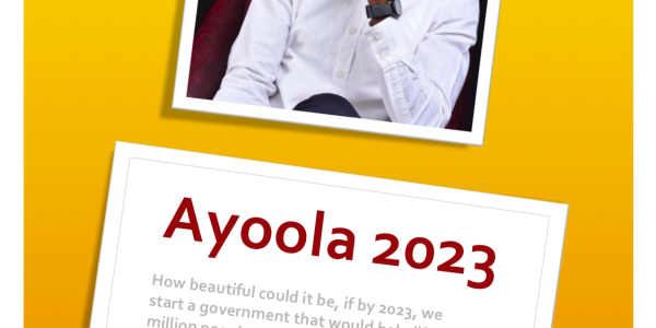 Ayoola 2023 Political Groups Photo